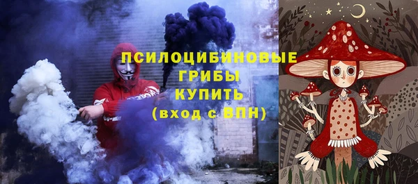 apvp Алзамай