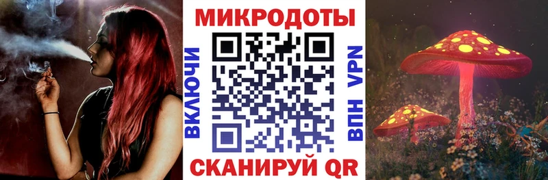 закладки  Пущино  Псилоцибиновые грибы GOLDEN TEACHER 